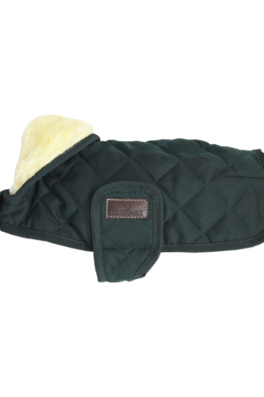 Kentucky Horsewear hondendeken met een vulling van 160 gram - Groen Kentucky Horsewear hondendeken met een vulling van 160 gram - Groen