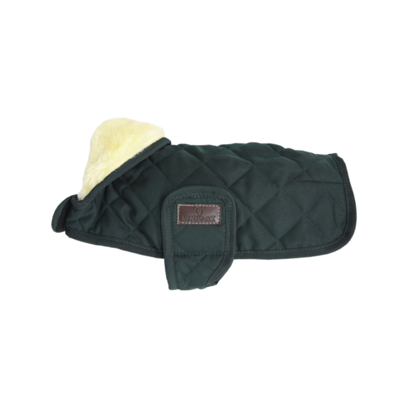 Kentucky Horsewear hondendeken met een vulling van 160 gram - Groen Kentucky Horsewear hondendeken met een vulling van 160 gram - Groen