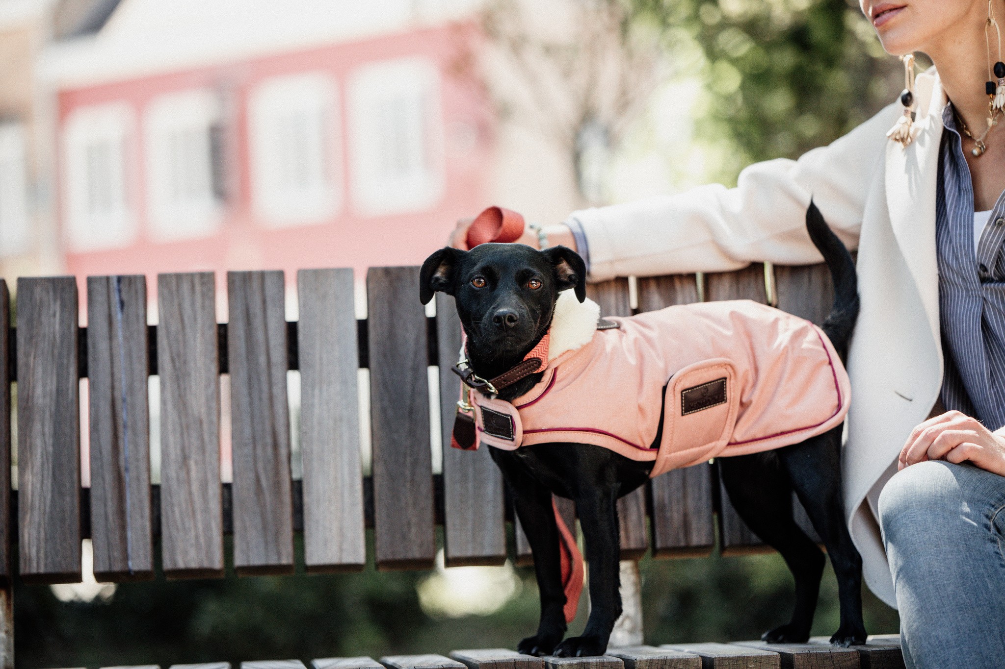 Kentucky Dogwear Dog Coat Waterproof 160G Coral Kentucky Dogwear Dog Coat Waterproof 160G Coral