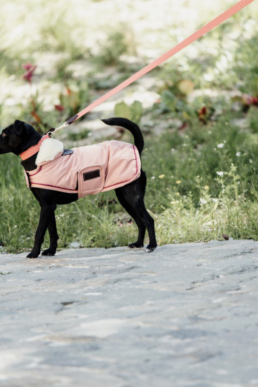 Kentucky Dogwear Dog Coat Waterproof 160G Coral Kentucky Dogwear Dog Coat Waterproof 160G Coral