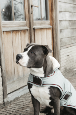 Kentucky Dogwear Dog Coat Waterproof 160G Dusty Blue Kentucky Dogwear Dog Coat Waterproof 160G Dusty Blue