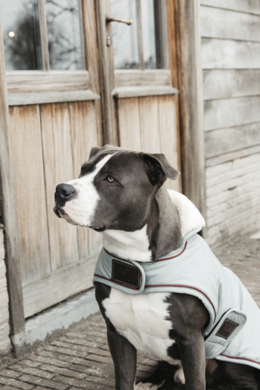 Kentucky Dogwear Dog Coat Waterproof 160G Dusty Blue Kentucky Dogwear Dog Coat Waterproof 160G Dusty Blue