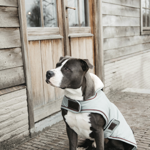 Kentucky Dogwear Dog Coat Waterproof 160G Dusty Blue Kentucky Dogwear Dog Coat Waterproof 160G Dusty Blue