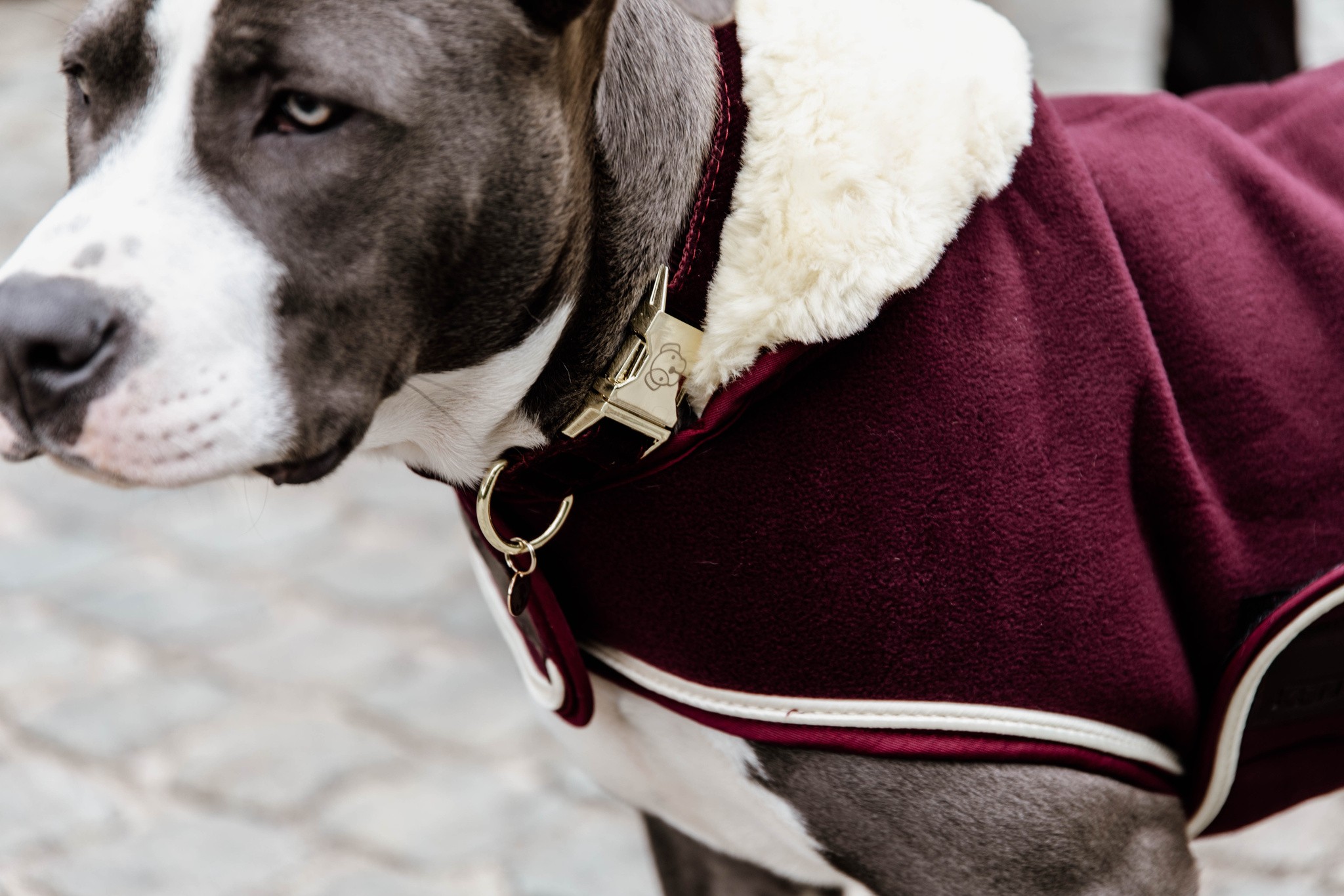 Kentucky Dogwear Dog Coat Heavy Fleece, heerlijke Fleece deken voor je hond Kentucky Dogwear Dog Coat Heavy Fleece, heerlijke Fleece deken voor je hond