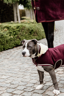 Kentucky Dogwear Dog Coat Heavy Fleece, heerlijke Fleece deken voor je hond
