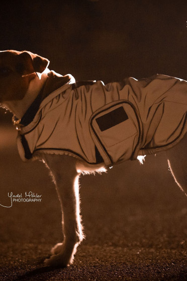 Kentucky Dogwear Dog Coat Reflective & Water Repellent Kentucky Dogwear Dog Coat Reflective & Water Repellent