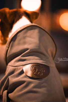 Kentucky Dogwear Dog Coat Reflective & Water Repellent Kentucky Dogwear Dog Coat Reflective & Water Repellent