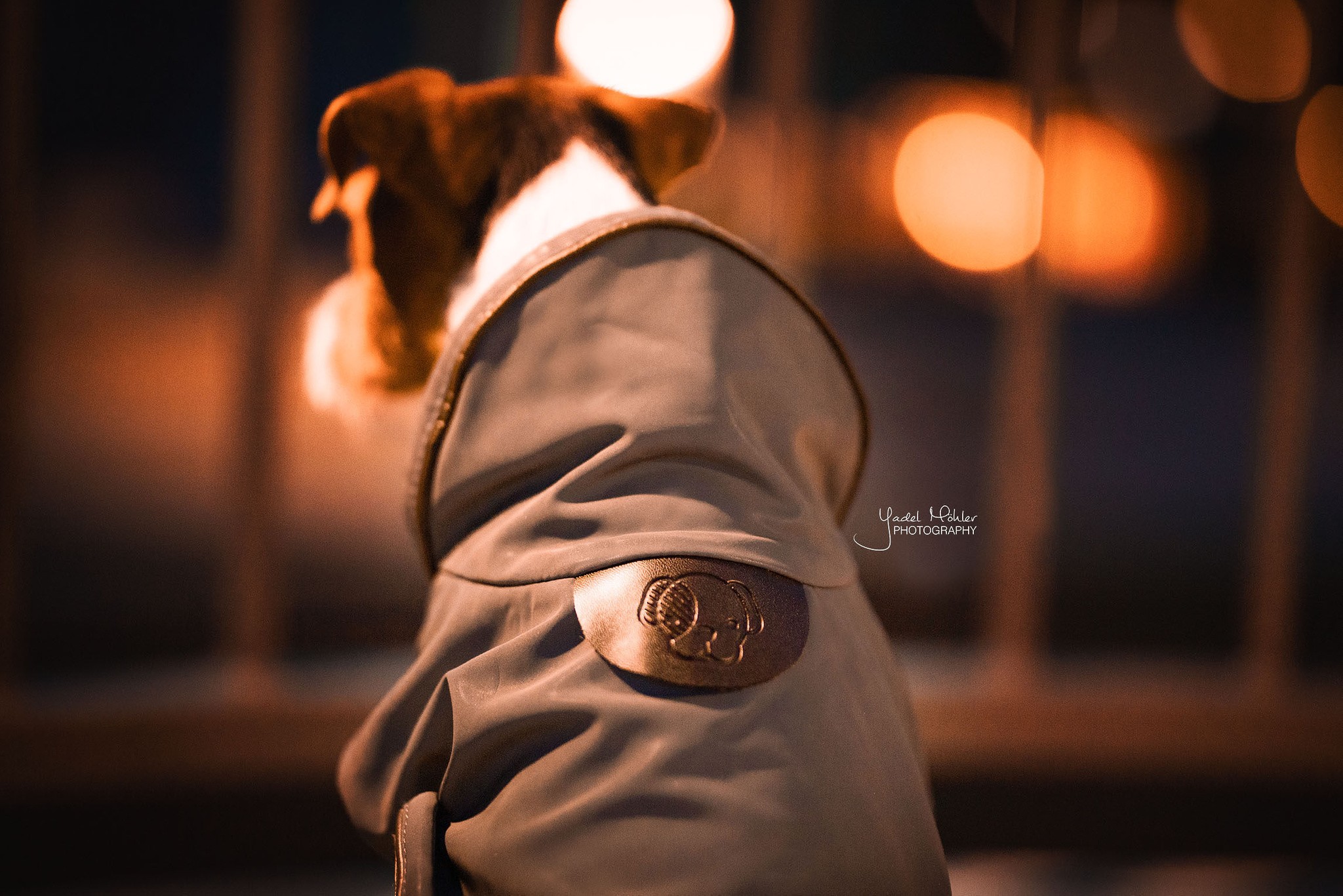 Kentucky Dogwear Dog Coat Reflective & Water Repellent Kentucky Dogwear Dog Coat Reflective & Water Repellent