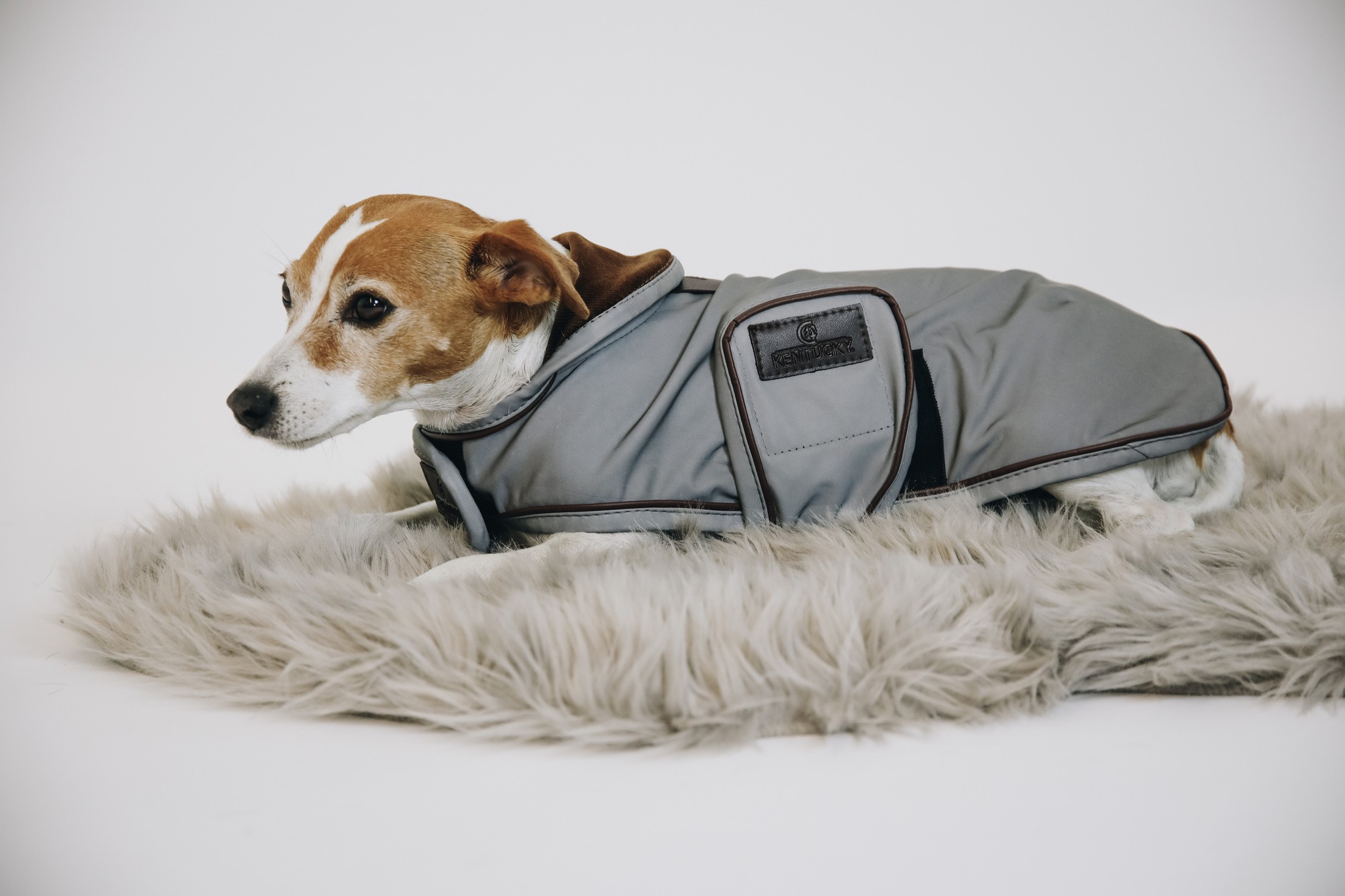 Kentucky Dogwear Dog Coat Reflective & Water Repellent Kentucky Dogwear Dog Coat Reflective & Water Repellent