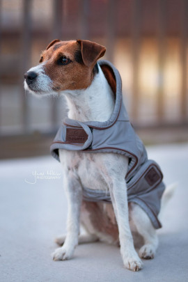 Kentucky Dogwear Dog Coat Reflective & Water Repellent Kentucky Dogwear Dog Coat Reflective & Water Repellent
