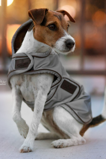 Kentucky Dogwear Dog Coat Reflective & Water Repellent Kentucky Dogwear Dog Coat Reflective & Water Repellent