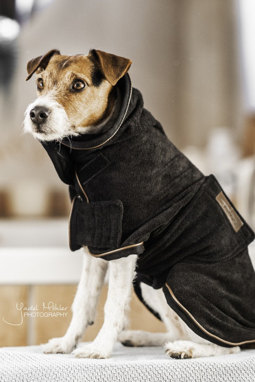 Kentucky Dogwear Dog Coat Towel Kentucky Dogwear Dog Coat Towel