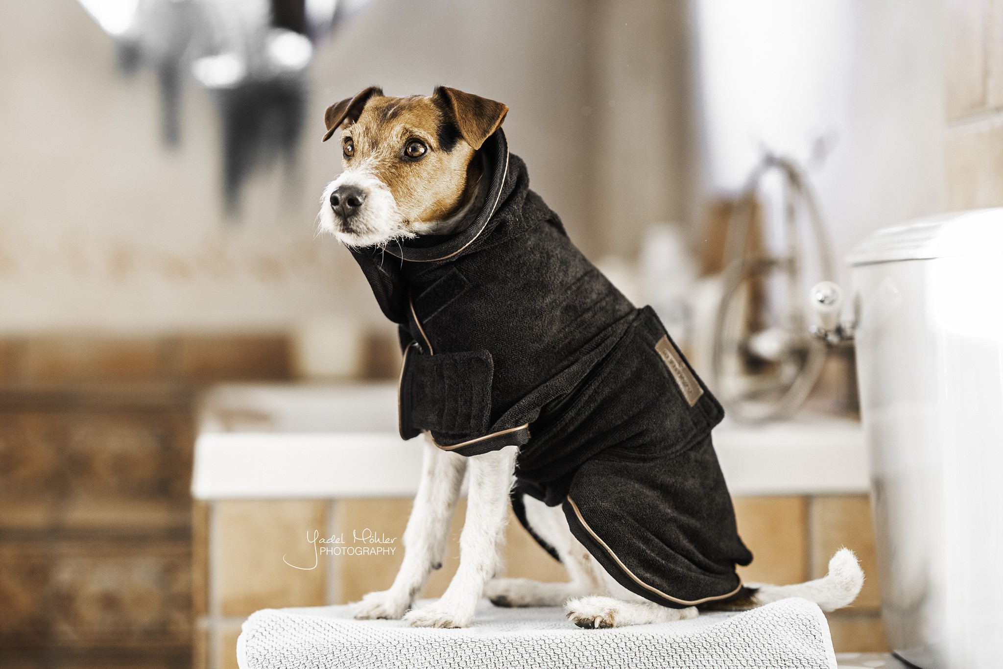 Kentucky Dogwear Dog Coat Towel Kentucky Dogwear Dog Coat Towel