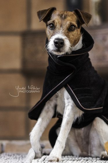 Kentucky Dogwear Dog Coat Towel Kentucky Dogwear Dog Coat Towel