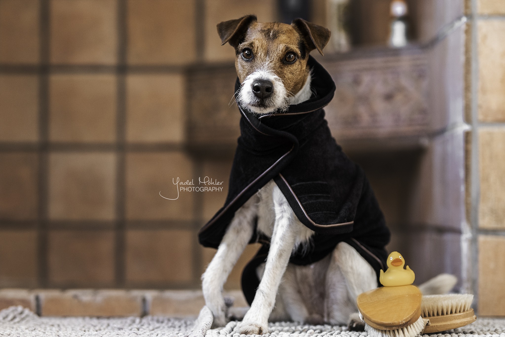 Kentucky Dogwear Dog Coat Towel Kentucky Dogwear Dog Coat Towel