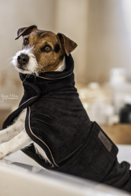 Kentucky Dogwear Dog Coat Towel Kentucky Dogwear Dog Coat Towel