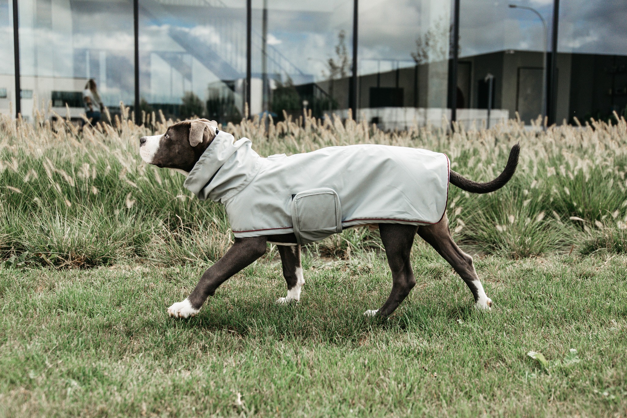 Kentucky Dogwear Dog Rain Coat, goed passende ongevoerde regenjas Kentucky Dogwear Dog Rain Coat, goed passende ongevoerde regenjas