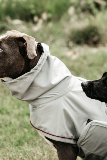Kentucky Dogwear Dog Rain Coat, goed passende ongevoerde regenjas Kentucky Dogwear Dog Rain Coat, goed passende ongevoerde regenjas
