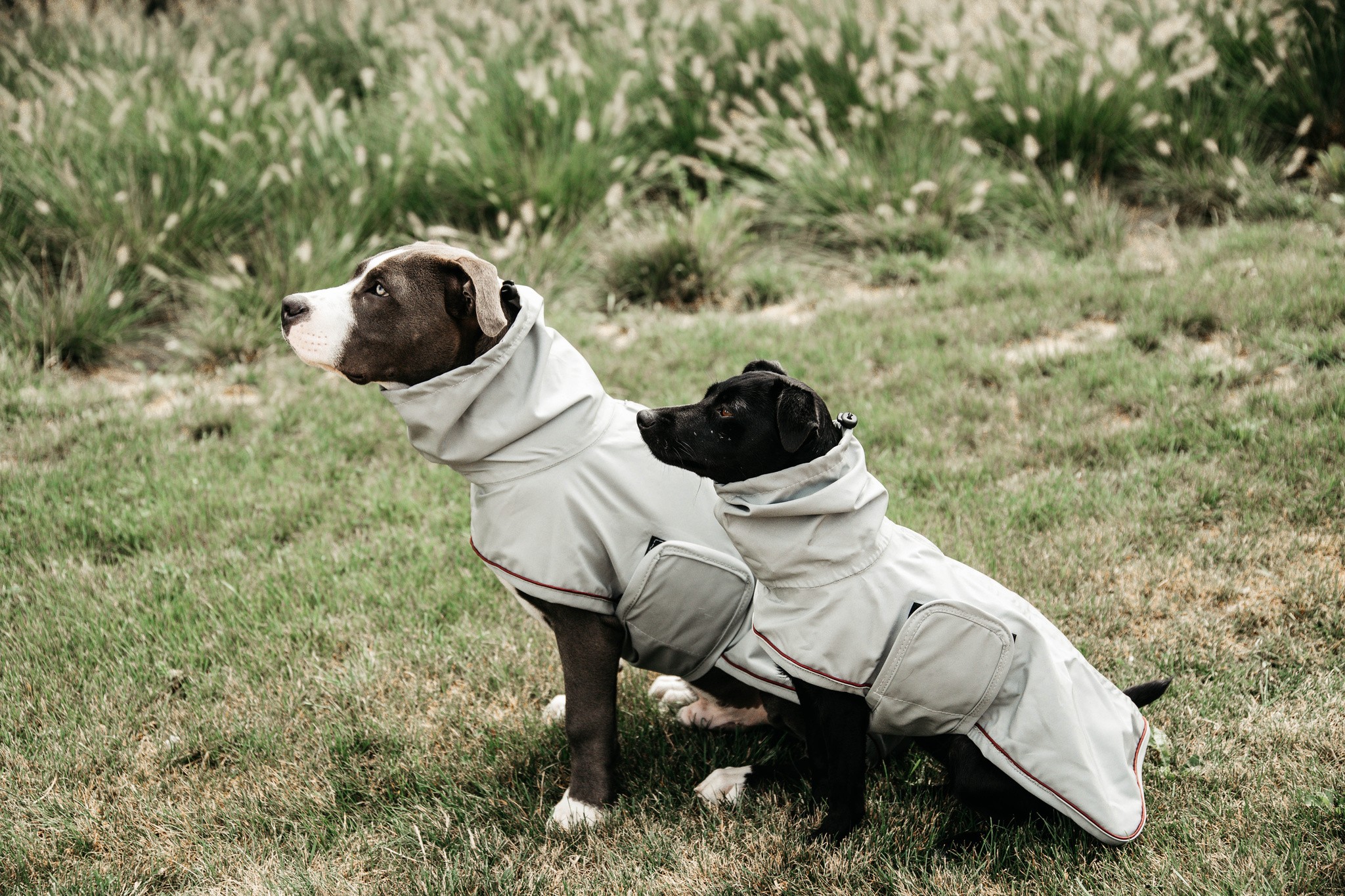 Kentucky Dogwear Dog Rain Coat, goed passende ongevoerde regenjas Kentucky Dogwear Dog Rain Coat, goed passende ongevoerde regenjas