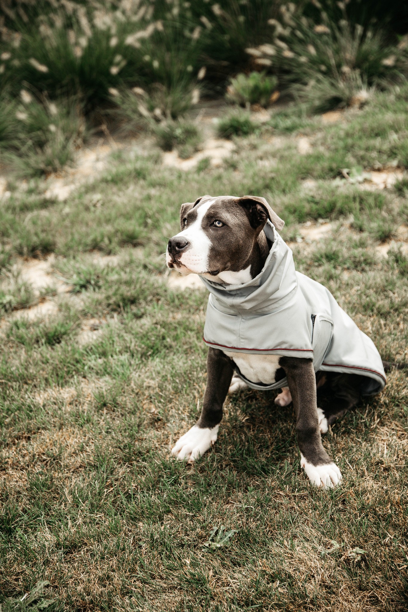 Kentucky Dogwear Dog Rain Coat, goed passende ongevoerde regenjas Kentucky Dogwear Dog Rain Coat, goed passende ongevoerde regenjas