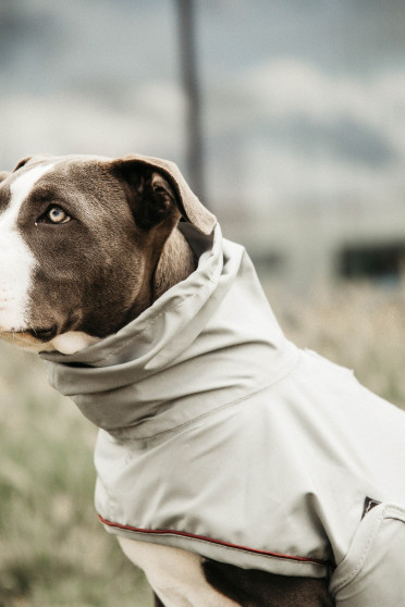 Kentucky Dogwear Dog Rain Coat, goed passende ongevoerde regenjas Kentucky Dogwear Dog Rain Coat, goed passende ongevoerde regenjas