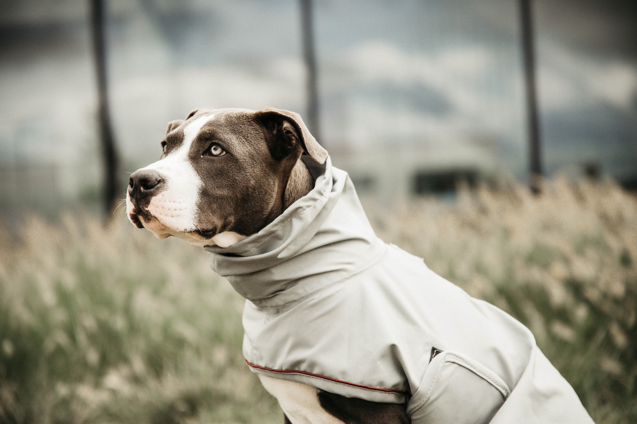 Kentucky Dogwear Dog Rain Coat, goed passende ongevoerde regenjas Kentucky Dogwear Dog Rain Coat, goed passende ongevoerde regenjas