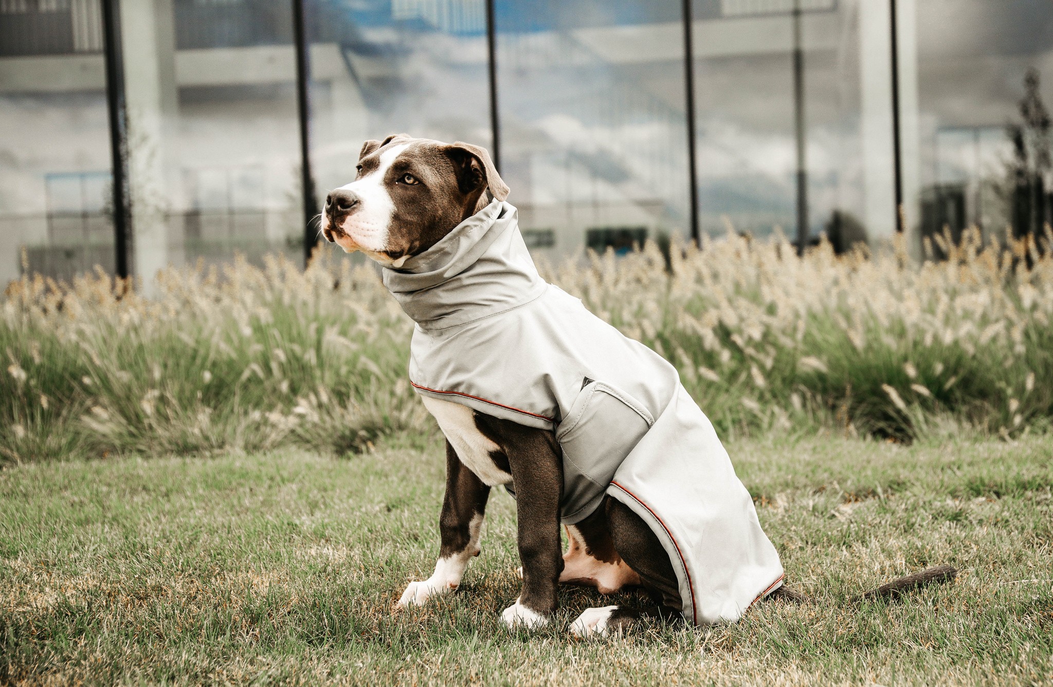 Kentucky Dogwear Dog Rain Coat, goed passende ongevoerde regenjas Kentucky Dogwear Dog Rain Coat, goed passende ongevoerde regenjas
