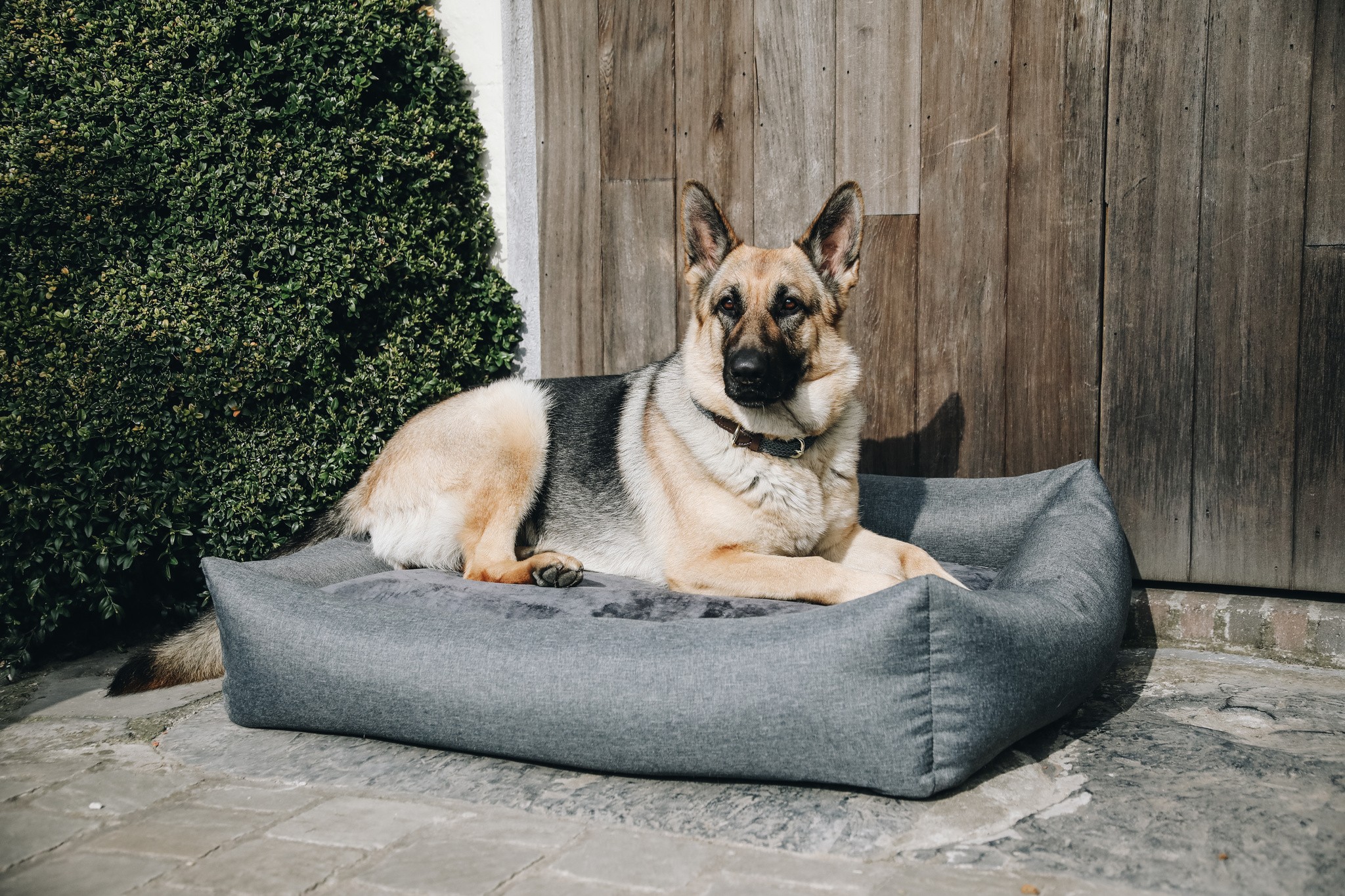 Kentucky Dogwear Dog Bed Soft Pillow Kentucky Dogwear Dog Bed Soft Pillow