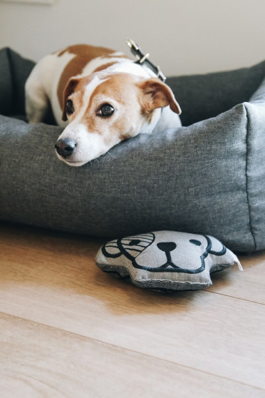 Kentucky Dogwear Dog Bed Soft Pillow Kentucky Dogwear Dog Bed Soft Pillow