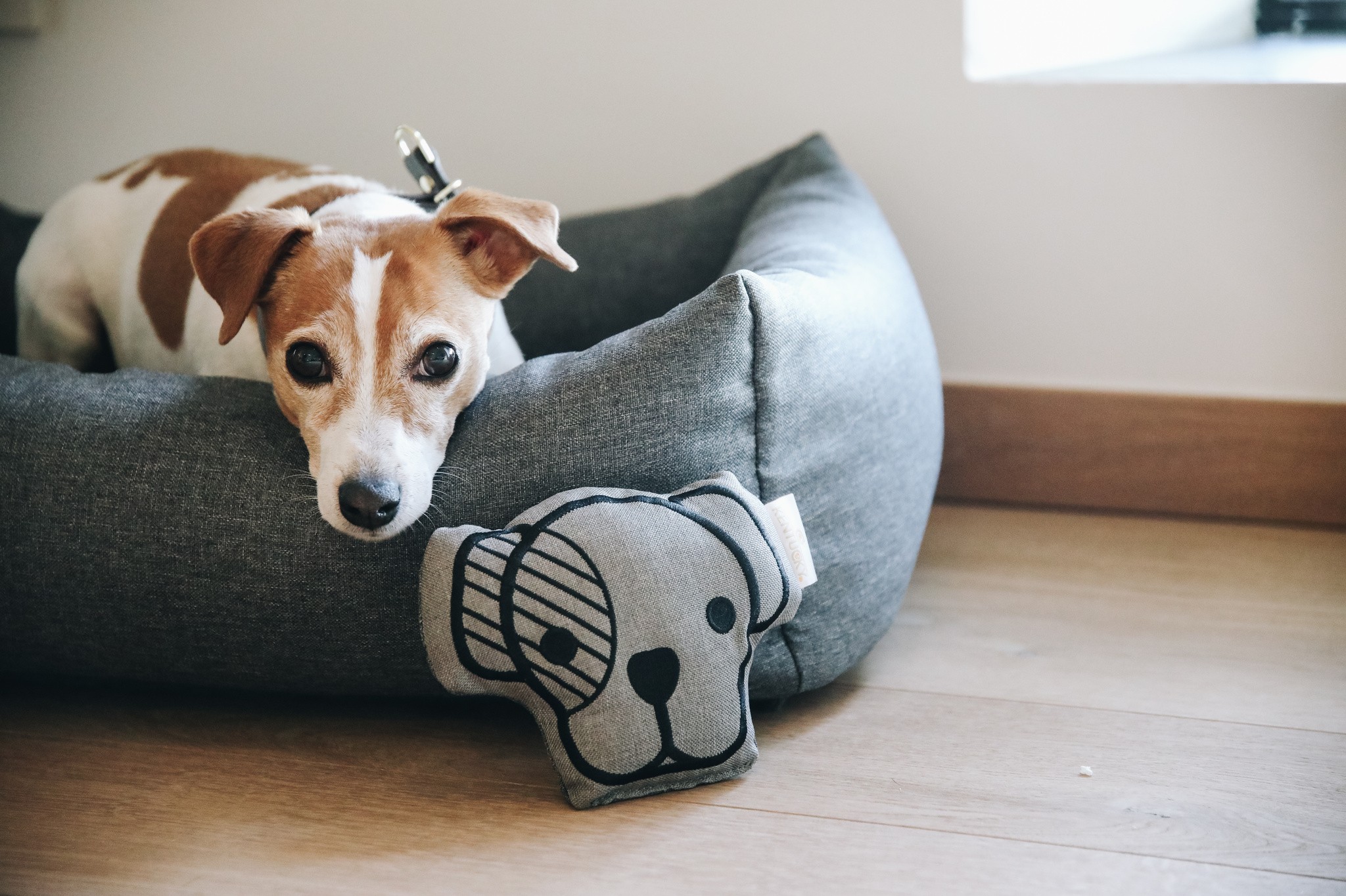 Kentucky Dogwear Dog Bed Soft Pillow Kentucky Dogwear Dog Bed Soft Pillow