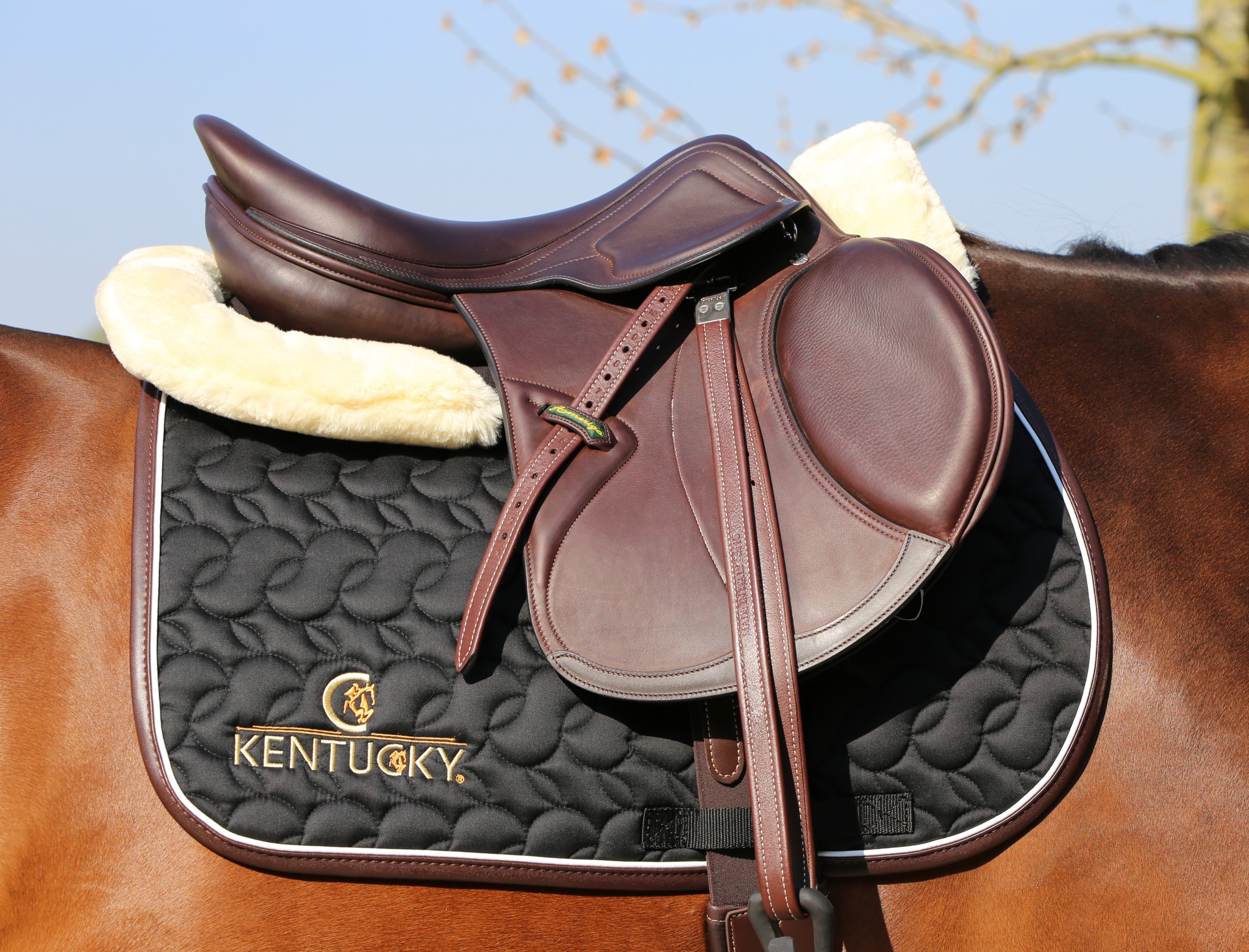 Kentucky Zadeldekje Absorb Kentucky Zadeldekje Absorb