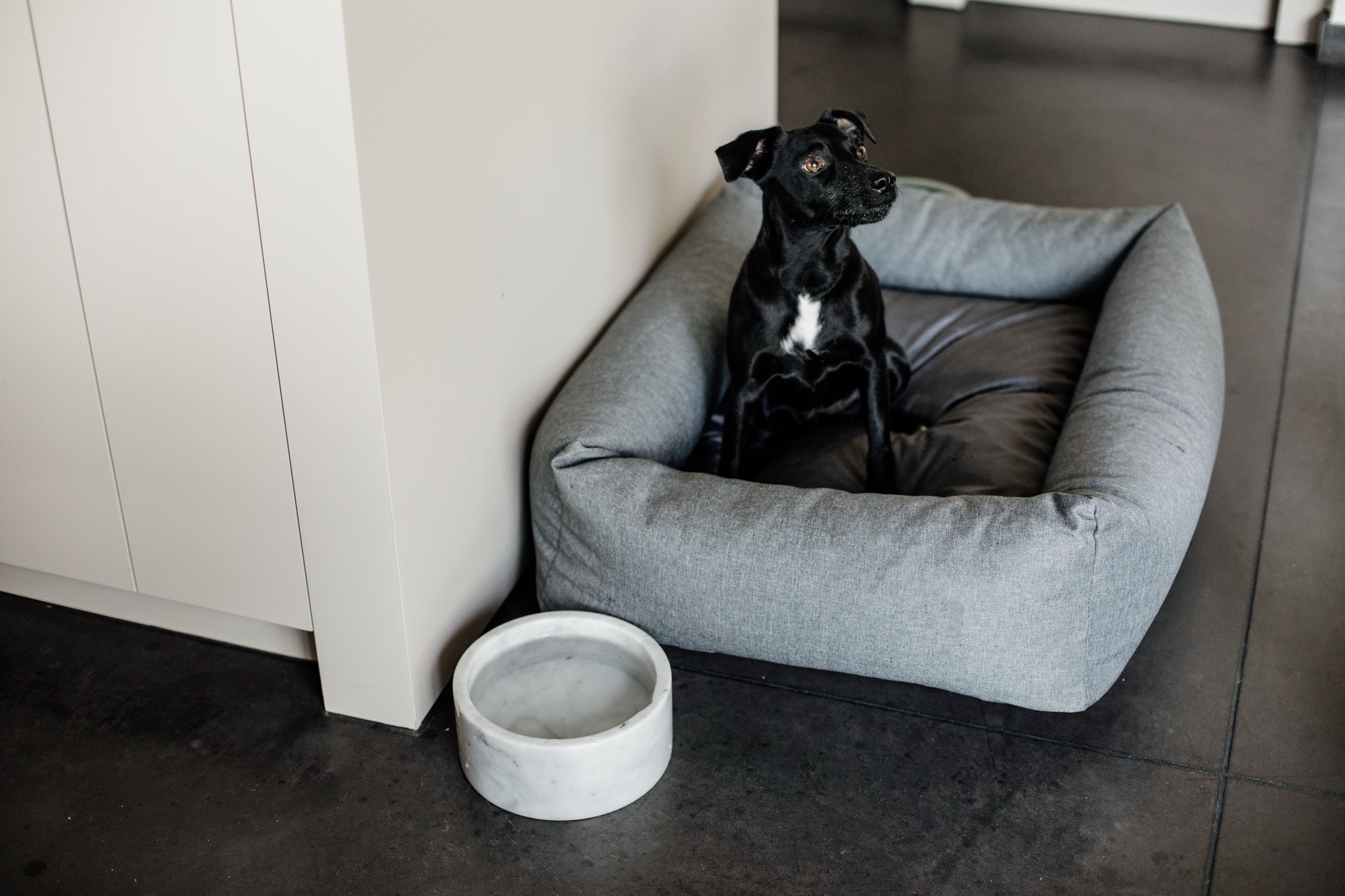 Kentucky Dogwear Dog Bowl Marble White Kentucky Dogwear Dog Bowl Marble White