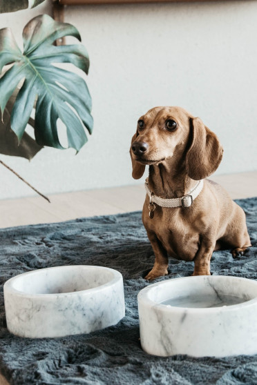 Kentucky Dogwear Dog Bowl Marble Grey Kentucky Dogwear Dog Bowl Marble Grey