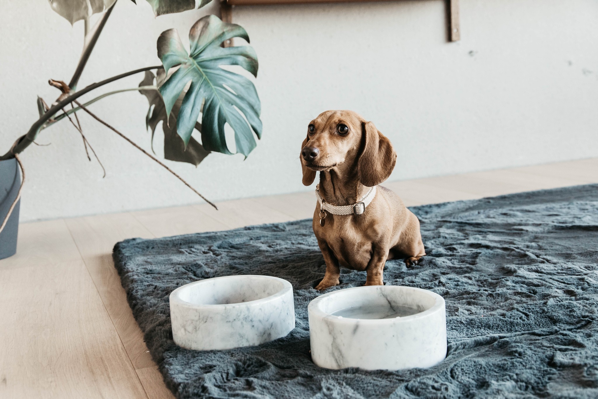Kentucky Dogwear Dog Bowl Marble Grey Kentucky Dogwear Dog Bowl Marble Grey