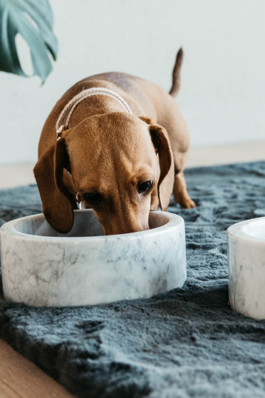 Kentucky Dogwear Dog Bowl Marble Grey Kentucky Dogwear Dog Bowl Marble Grey