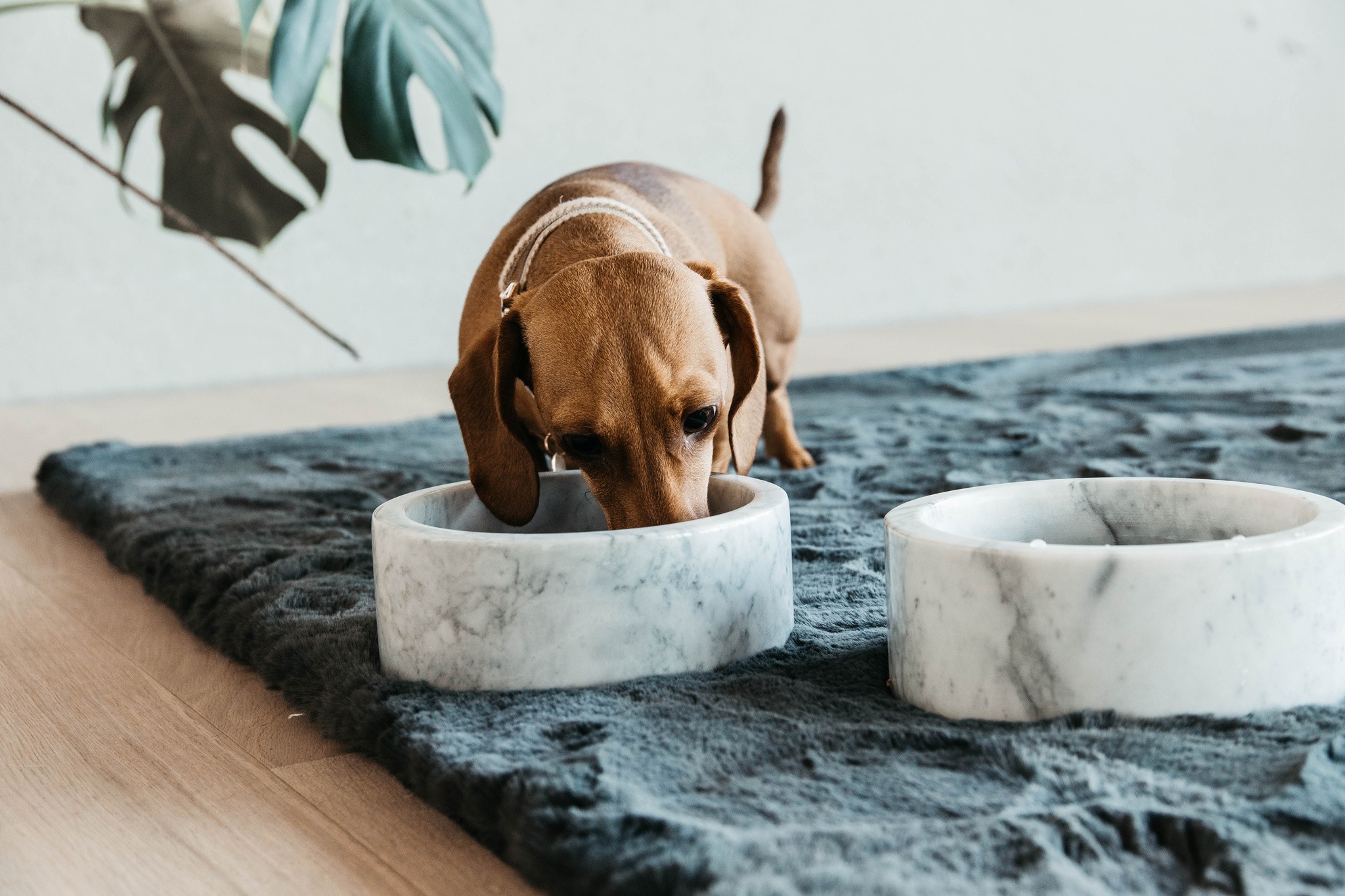 Kentucky Dogwear Dog Bowl Marble Grey Kentucky Dogwear Dog Bowl Marble Grey