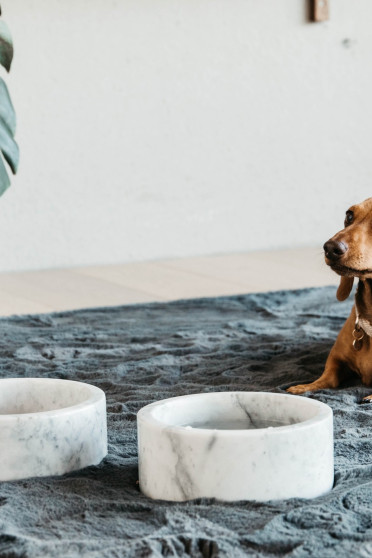 Kentucky Dogwear Dog Bowl Marble Grey Kentucky Dogwear Dog Bowl Marble Grey