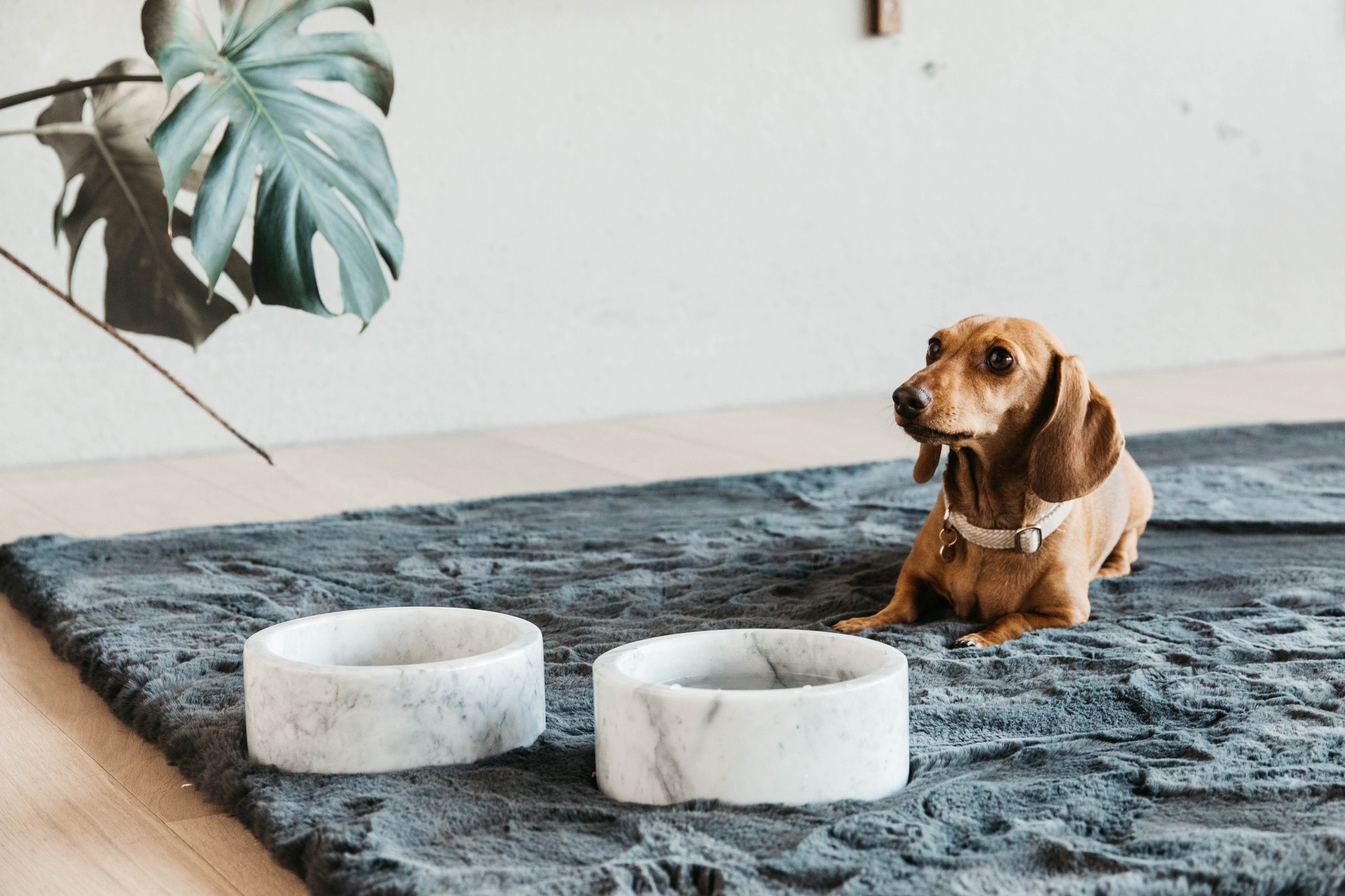 Kentucky Dogwear Dog Bowl Marble Grey Kentucky Dogwear Dog Bowl Marble Grey