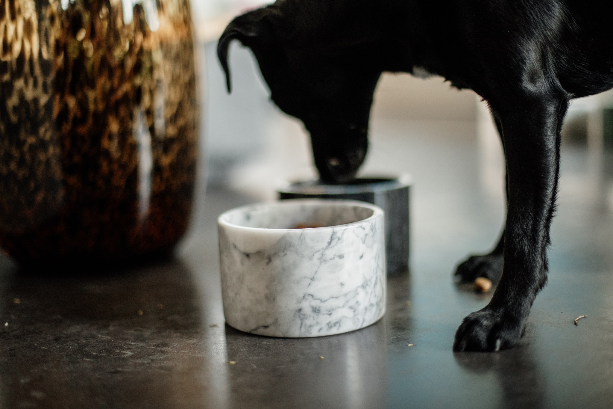 Kentucky Dogwear Dog Bowl Marble Grey Kentucky Dogwear Dog Bowl Marble Grey