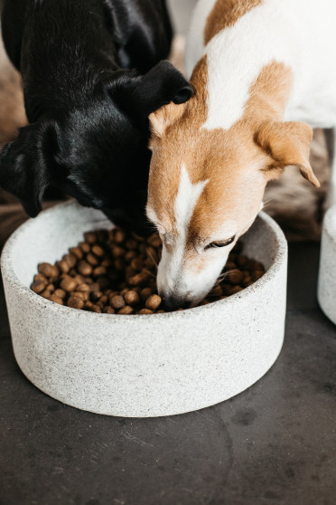 Kentucky Dogwear Dog Bowl Granite Kentucky Dogwear Dog Bowl Granite