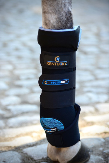 Kentucky Magnetic Stable Boots