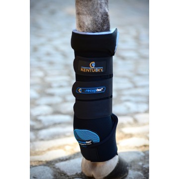 Kentucky Magnetic Stable Boots