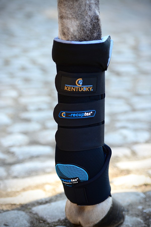 Kentucky Magnetic Stable Boots