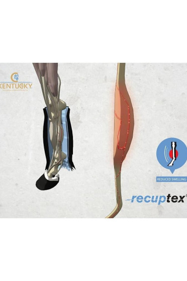 Kentucky Magnetic Stable Boots