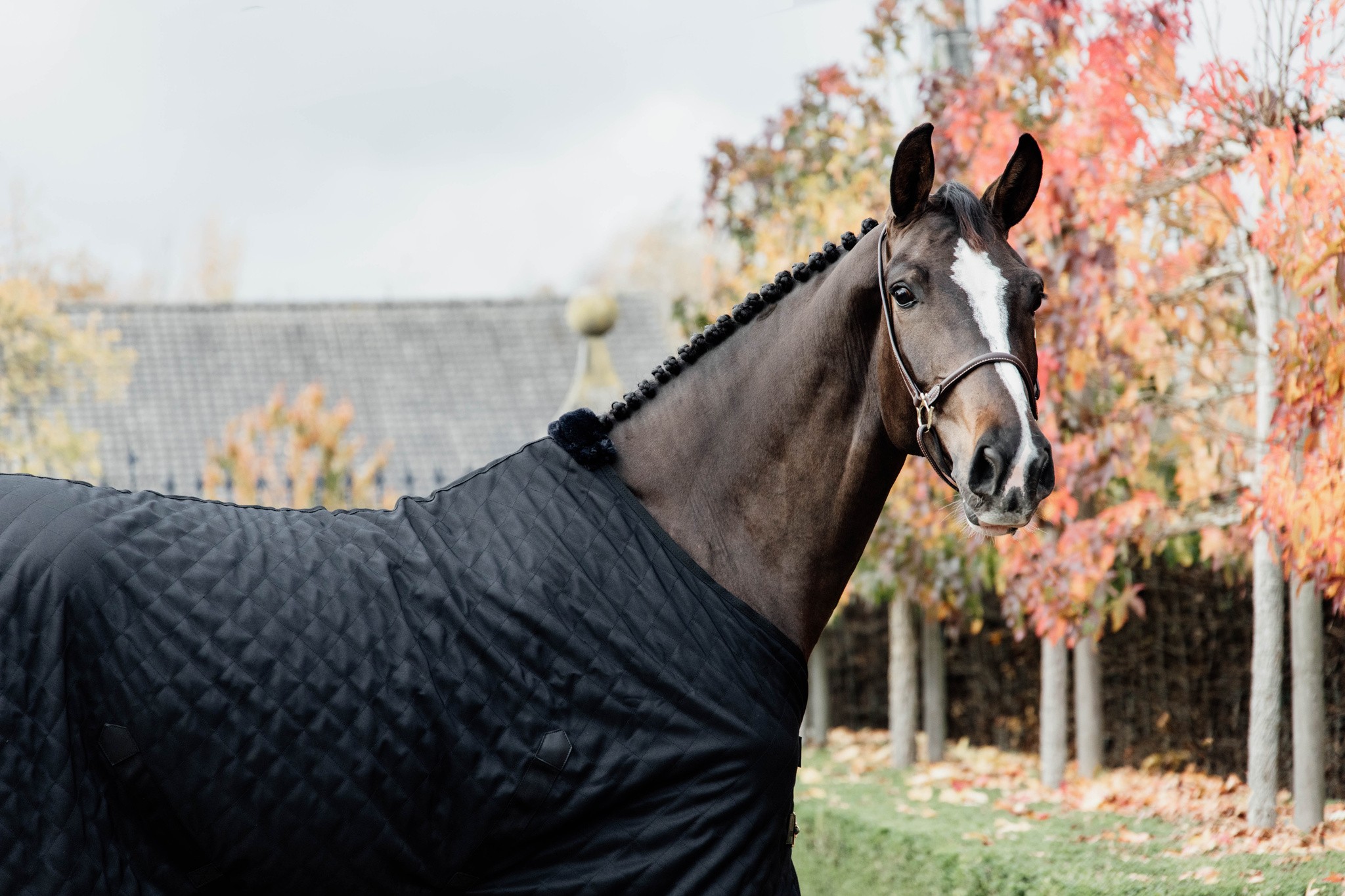 Kentucky Horsewear Stable Rug 0GR Zwart-Zwart, met zachte voering Kentucky Horsewear Stable Rug 0GR Zwart-Zwart, met zachte voering