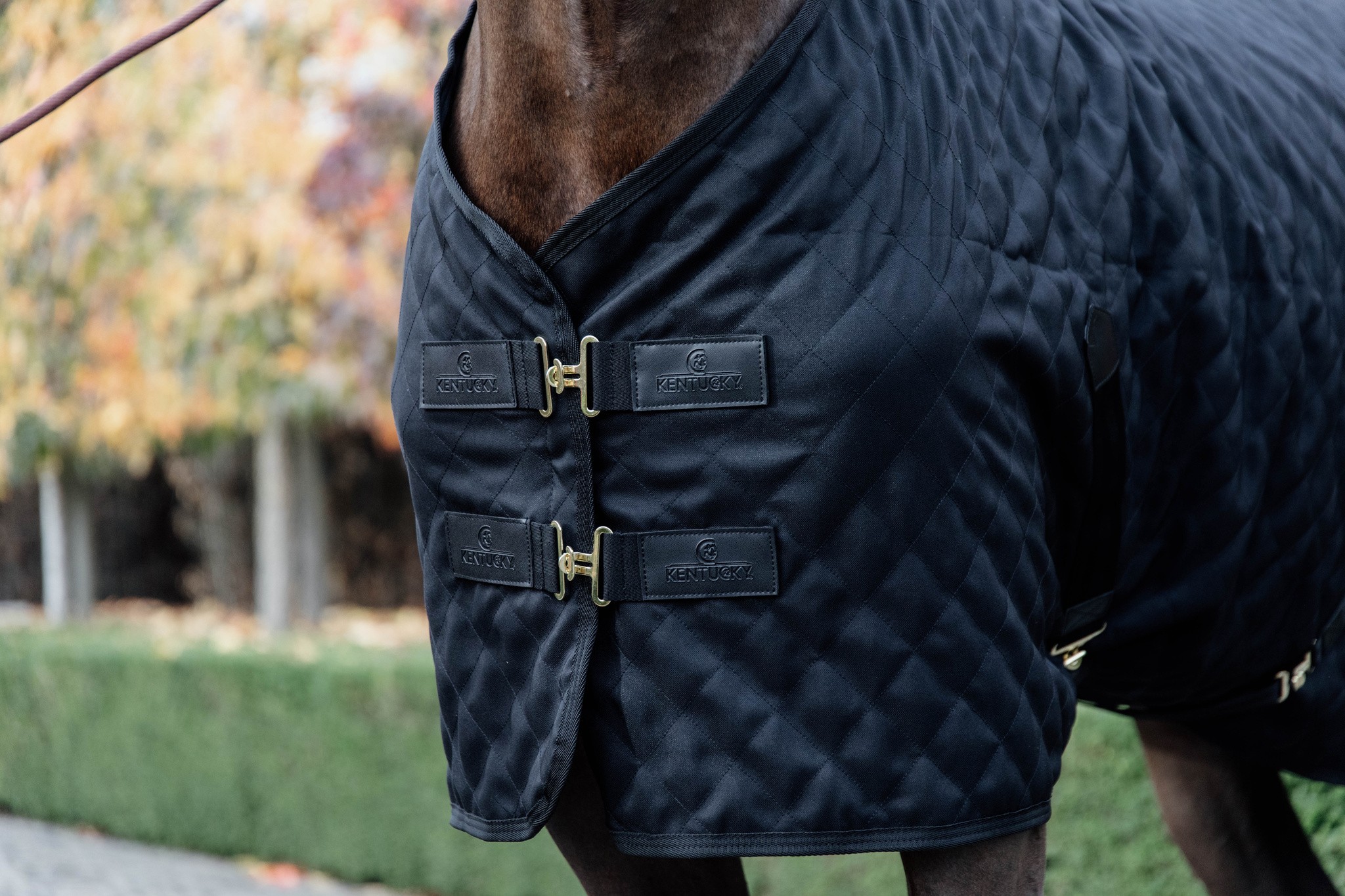 Kentucky Horsewear Stable Rug 0GR Black Black Kentucky Horsewear Stable Rug 0GR Black Black