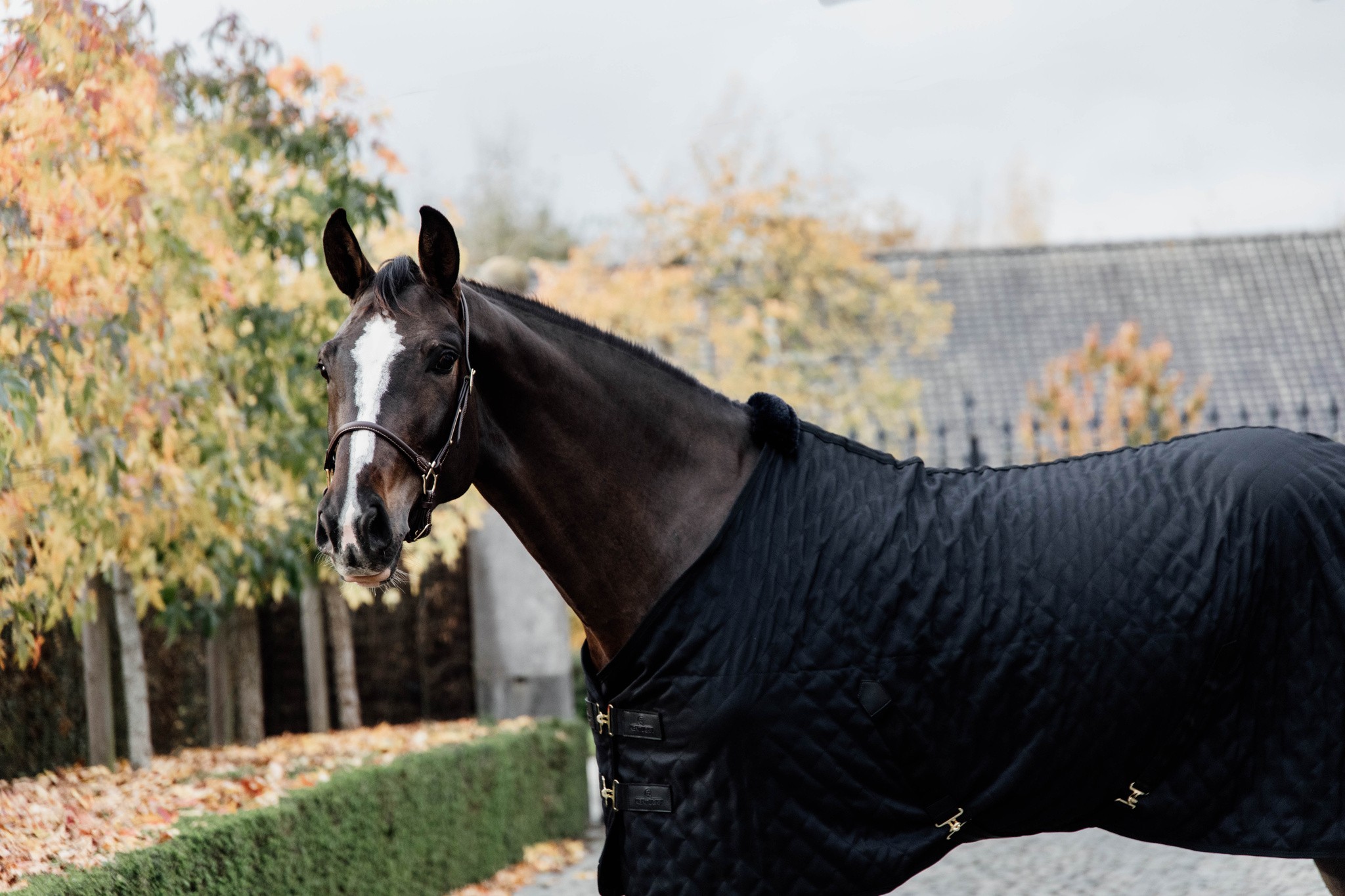 Kentucky Horsewear Stable Rug 0GR Black Black Kentucky Horsewear Stable Rug 0GR Black Black