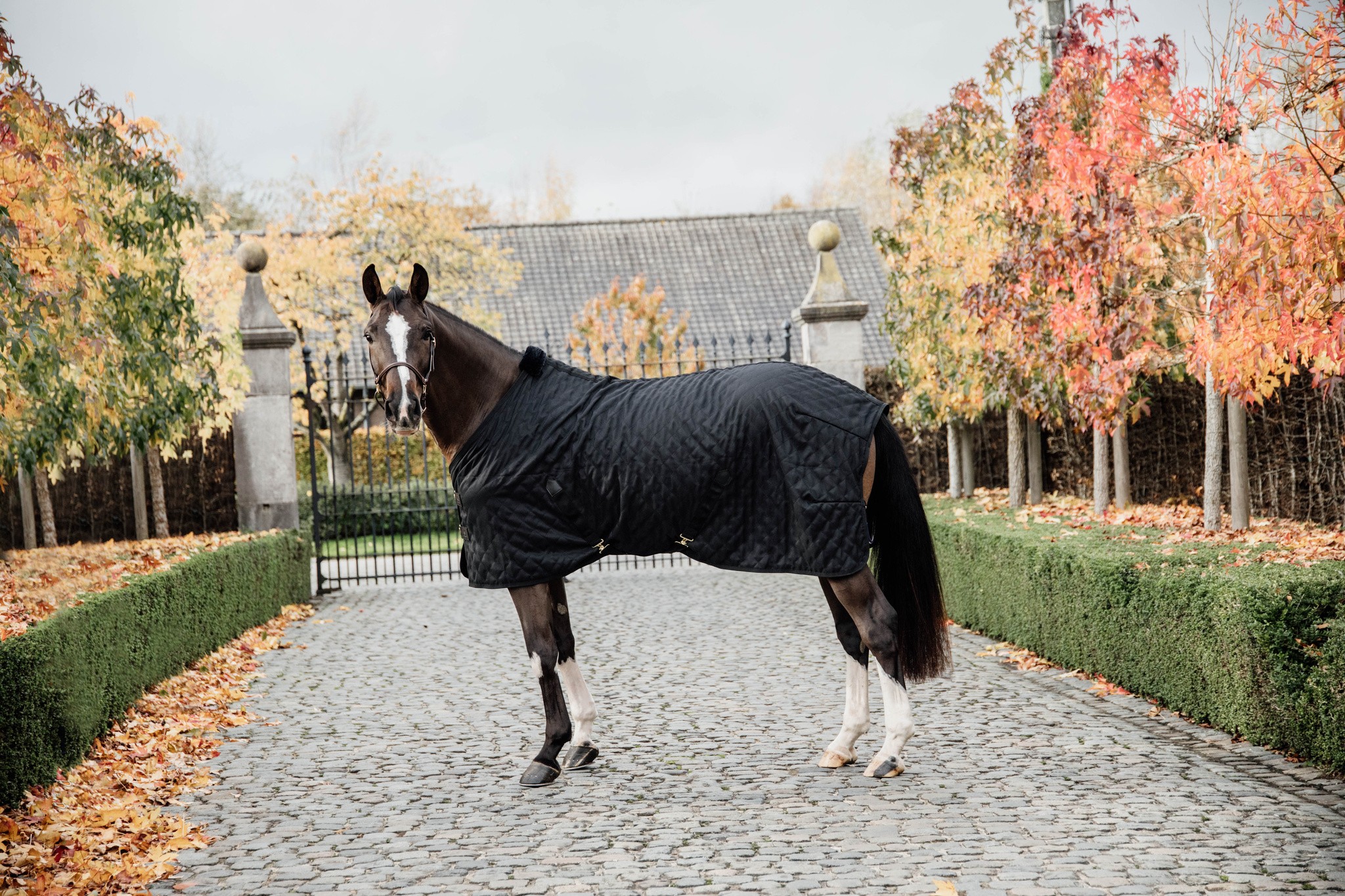 Kentucky Horsewear Stable Rug 0GR Zwart-Zwart, met zachte voering Kentucky Horsewear Stable Rug 0GR Zwart-Zwart, met zachte voering