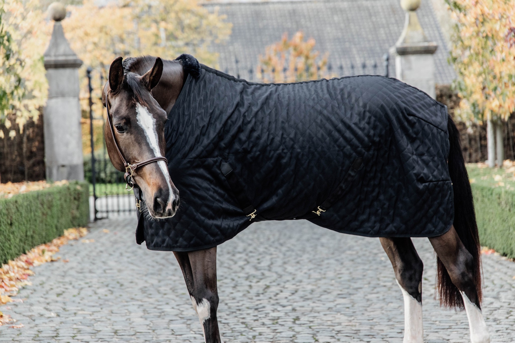 Kentucky Horsewear Stable Rug 0GR Black Black Kentucky Horsewear Stable Rug 0GR Black Black