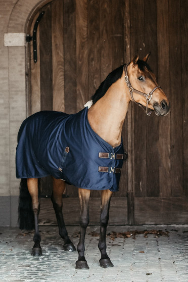 Cotton Sheet keeps your horse comfortable during summer or transport. Cotton Sheet keeps your horse comfortable during summer or transport.